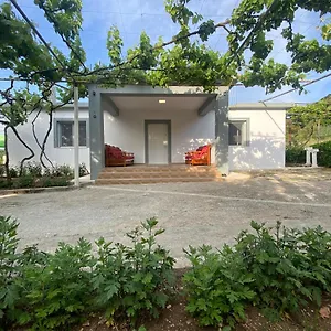  Maison d'hôtes Progon House